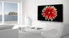 Easylounge OLED55B7V - EasyLounge - 6