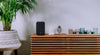 Bluesound Pulse Flex Noir (2025) - EasyLounge - 10