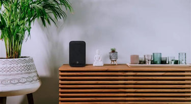 Bluesound Pulse Flex Noir (2025) - EasyLounge - 10