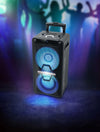 Muse M-1920 DJ - EasyLounge - 4