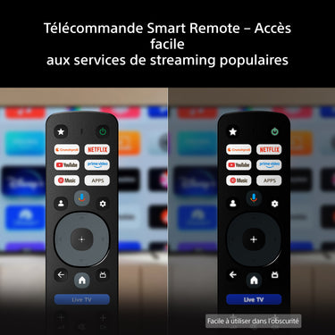 Sony 77 Bravia 6 - EasyLounge - 11