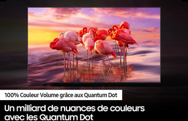 Samsung QE55Q65B - EasyLounge - 18