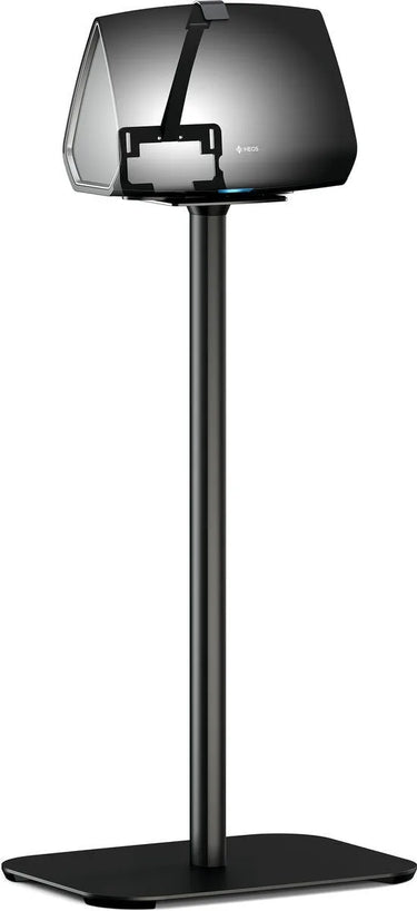 Vogel