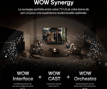 LG Electronics S95TR - EasyLounge - 24