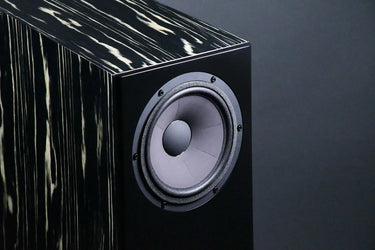 Davis Acoustics MV One Master Ébène laqué - EasyLounge - 4