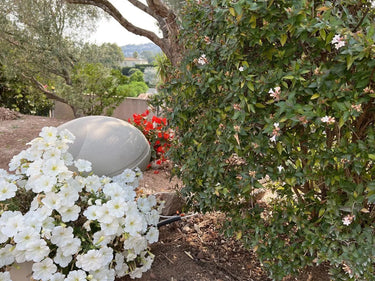 Focal OD Stone 8 Blanc (la pièce) - EasyLounge - 13