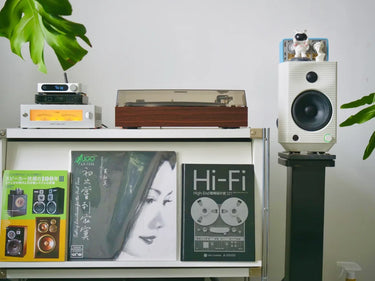 FiiO TT11 - EasyLounge - 13