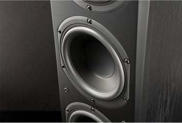 SVS Prime Pinnacle Bois Noir - EasyLounge - 3