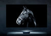 Hisense PX2-PRO - EasyLounge - 21