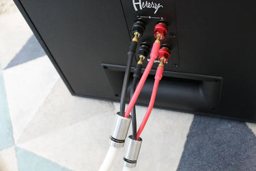 Klipsch Heresy IV Noir - EasyLounge - 36