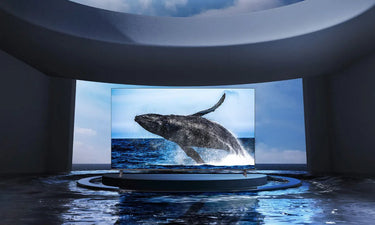 TCL 75C725 - EasyLounge - 16