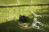 Marshall Willen Black and Brass - EasyLounge - 16