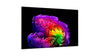 LG Electronics OLED83G6 - EasyLounge - 18