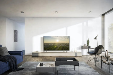 Panasonic TV-65W95AEG - EasyLounge - 10