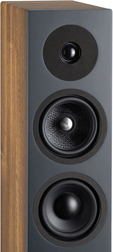 Davis Acoustics Krypton 6 Noyer - EasyLounge - 9