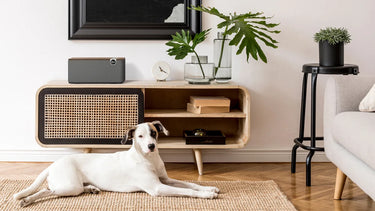 Klipsch The One+ Noyer - EasyLounge - 10