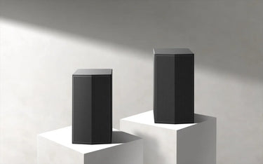 LG Electronics SPT8-S - EasyLounge - 3
