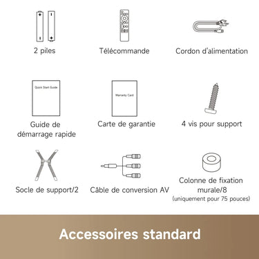 Dreame Q100 55