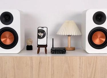 Fosi BT30D-24V - EasyLounge - 3
