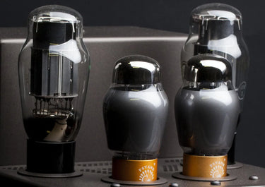 Feliks Audio Euforia Evo - EasyLounge - 5