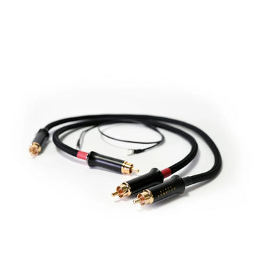 Advance Paris Link RCA (2 x 0,5 m) - EasyLounge - 2