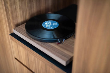 Pro-ject Debut Carbon Evo 2M Red Noyer - EasyLounge - 5