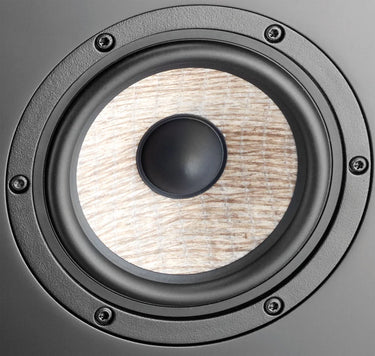 Focal Aria SR900 Noir - EasyLounge - 6