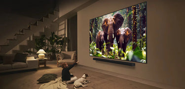 LG Electronics 100QNED86A - EasyLounge - 15