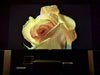 Formovie Theater Premium - EasyLounge - 14