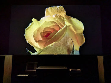 Formovie Theater Premium - EasyLounge - 14
