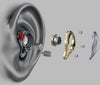 FiiO FH5 Titanium - EasyLounge - 17