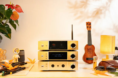 Cayin IHA-8 - EasyLounge - 11