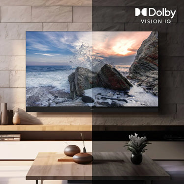 Panasonic TV-55Z95B - EasyLounge - 24