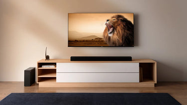 Hisense HS2100 - EasyLounge - 2