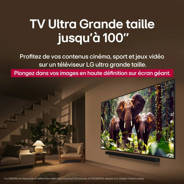 LG Electronics 55QNED7 - EasyLounge - 15