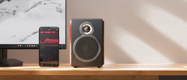 FiiO SA1 Noir - EasyLounge - 11