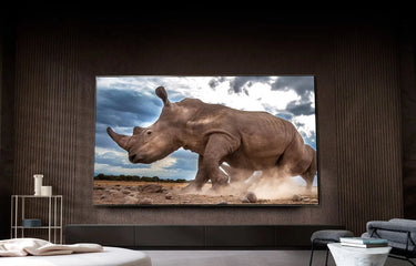 LG Electronics 65QNED81 - EasyLounge - 17
