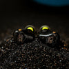 Shanling ME700 Noir - EasyLounge - 4
