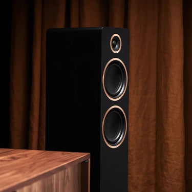 Argon Audio Fenris Active A55 Noir - EasyLounge - 6
