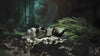 Shanling ME800 Vert - EasyLounge - 4