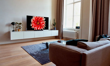 LG Electronics OLED55B8 - EasyLounge - 6