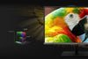Asus ProArt Display PA27UCX-K - EasyLounge - 11