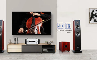 Tonewinner AD-86D - EasyLounge - 8