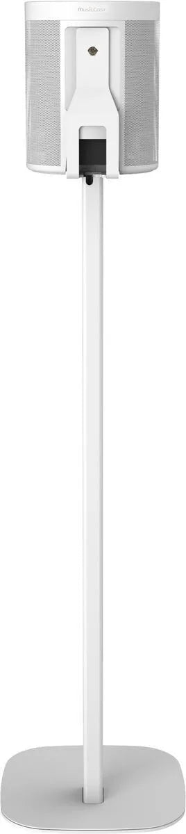 Cavus Pied d