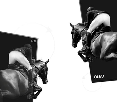 LG Electronics OLED55B1 - EasyLounge - 18