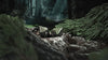Shanling ME800 Vert - EasyLounge - 2