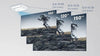 BenQ TK710 - EasyLounge - 17