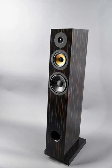 Davis Acoustics Courbet N°7 Ébène laqué - EasyLounge - 9