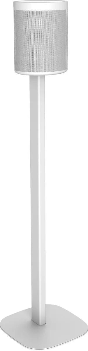 Cavus Pied d