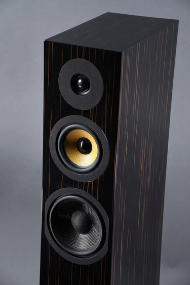 Davis Acoustics Courbet N°7 Ébène laqué - EasyLounge - 8